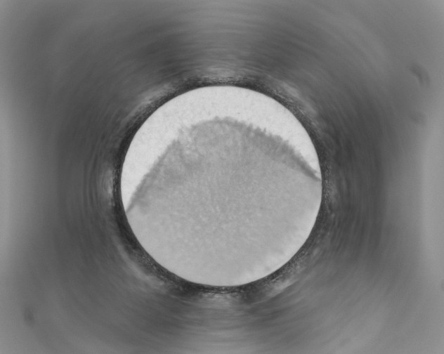 X0000110680115200907241051