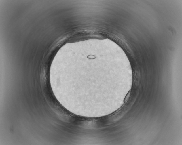 X0000110680116200907241051