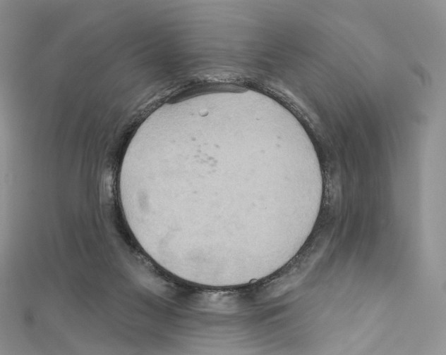 X0000110680117200907241051