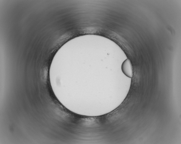X0000110680118200907241051