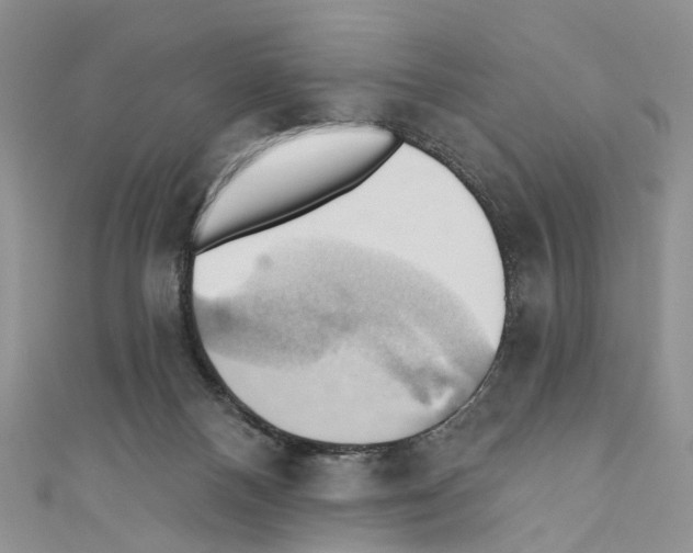 X0000110680120200907241051