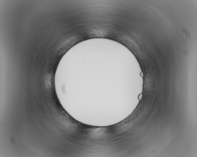 X0000110680122200907241051