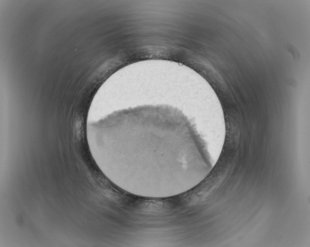 X0000110680123200907241051