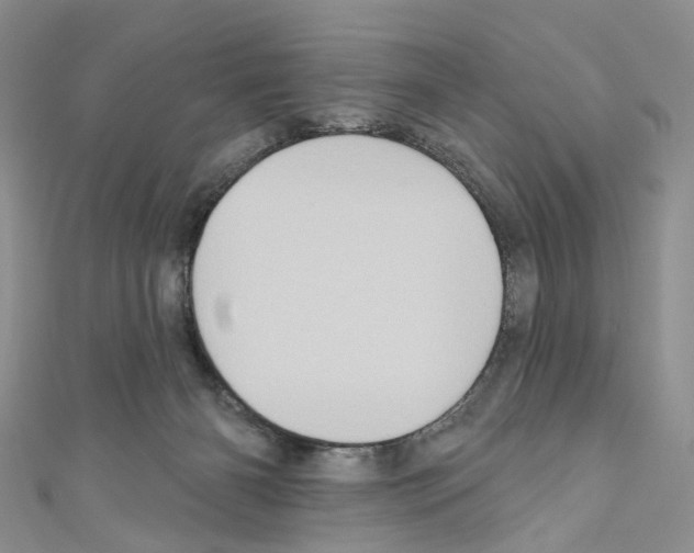 X0000110680126200907241051