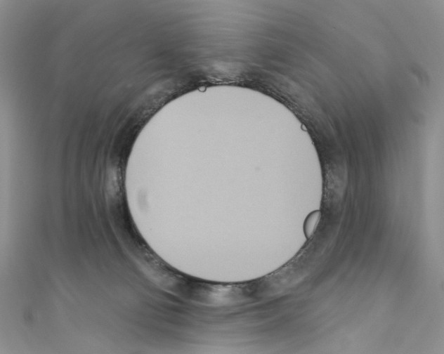 X0000110680130200907241051