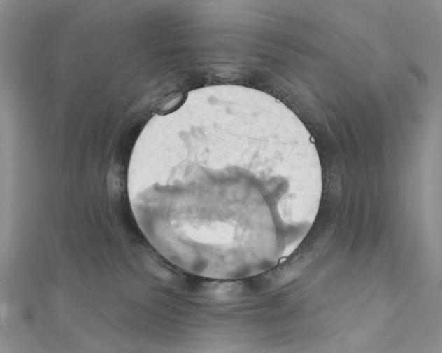 X0000110680135200907241051