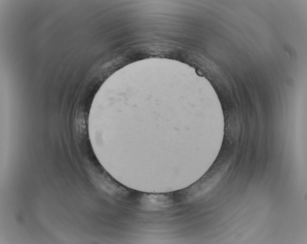 X0000110680137200907241051