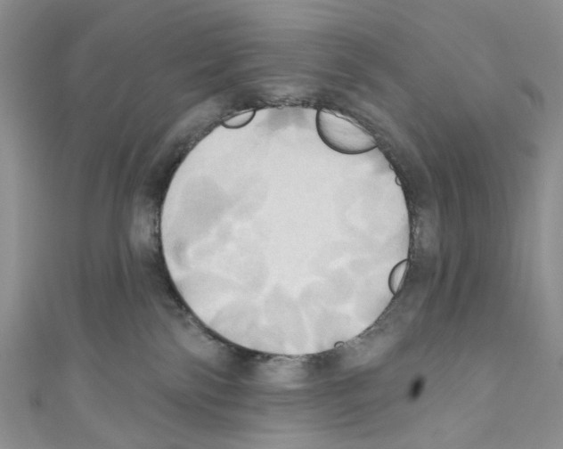 X0000110680138200907241051