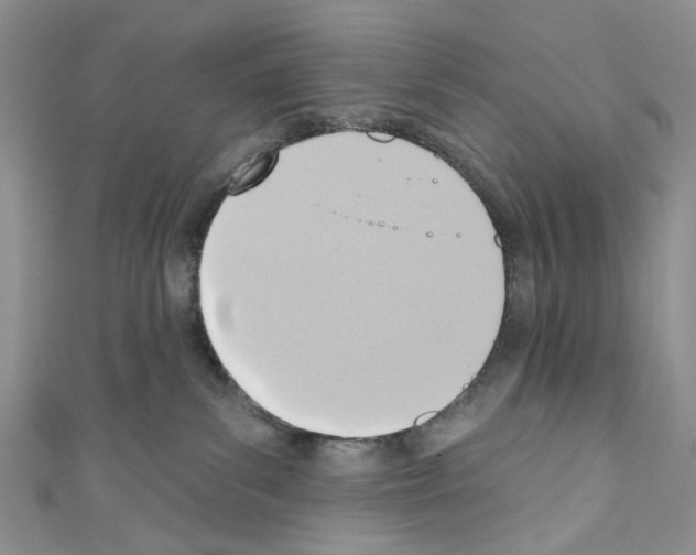 X0000110680139200907241051
