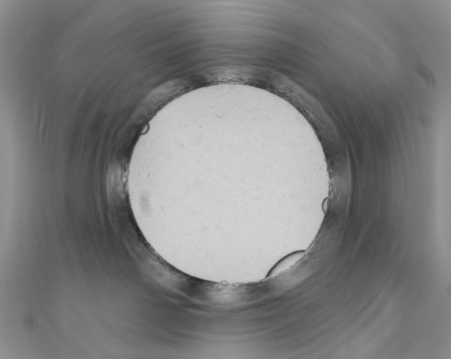 X0000110680142200907241051