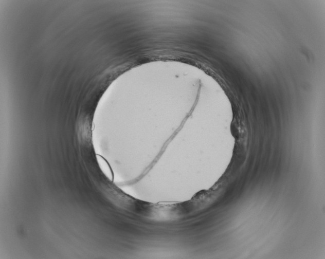 X0000110680143200907241051