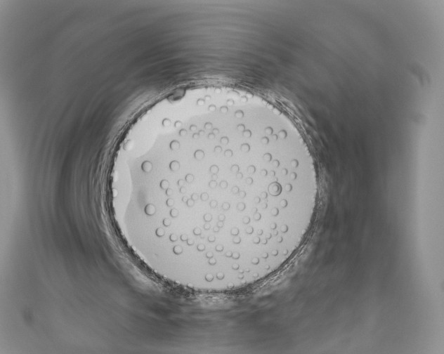 X0000110680145200907241050
