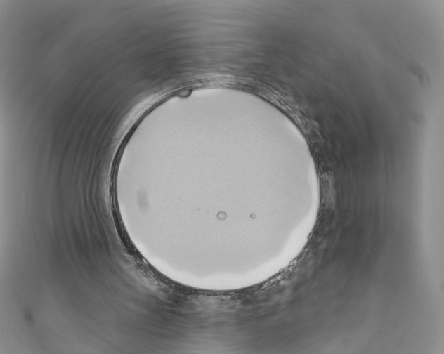 X0000110680147200907241050
