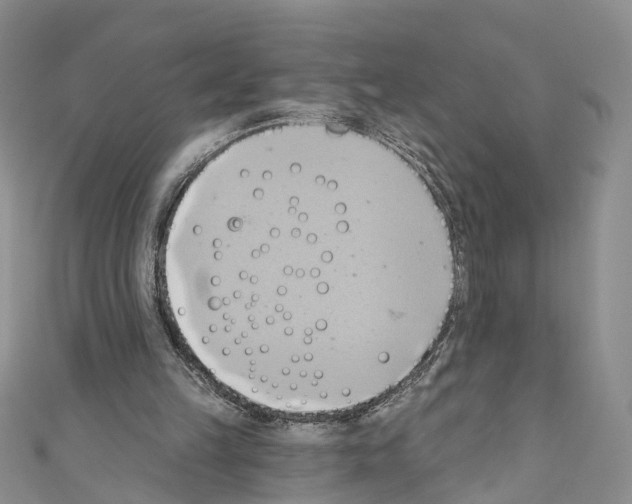 X0000110680149200907241050