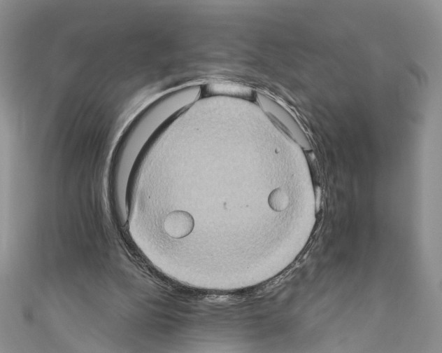 X0000110680152200907241050