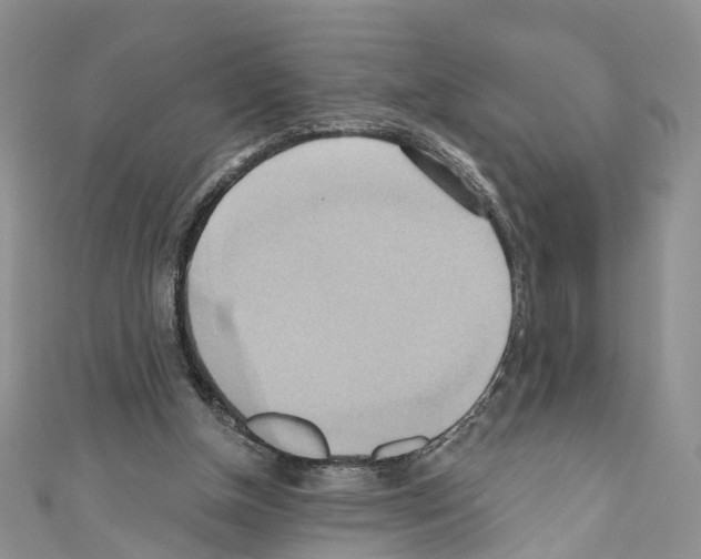 X0000110680154200907241050