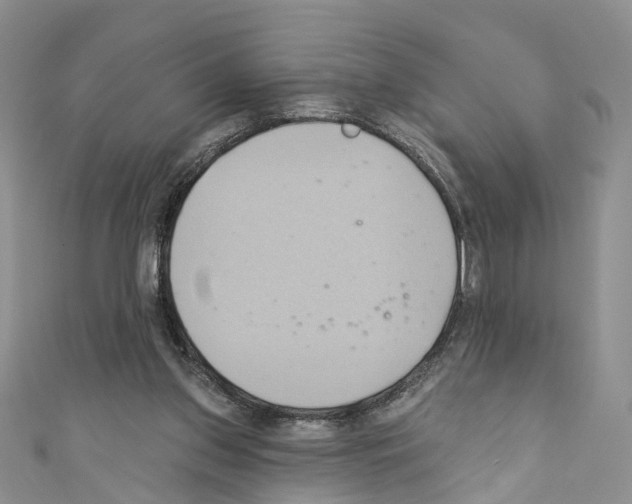 X0000110680157200907241050