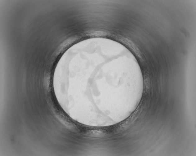X0000110680159200907241050