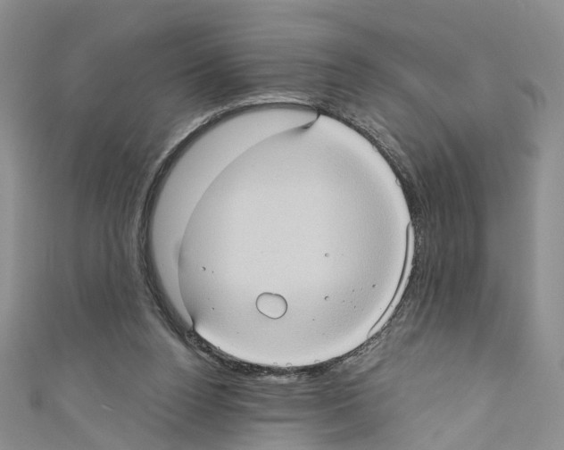 X0000110680160200907241050