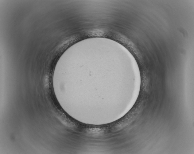 X0000110680161200907241050