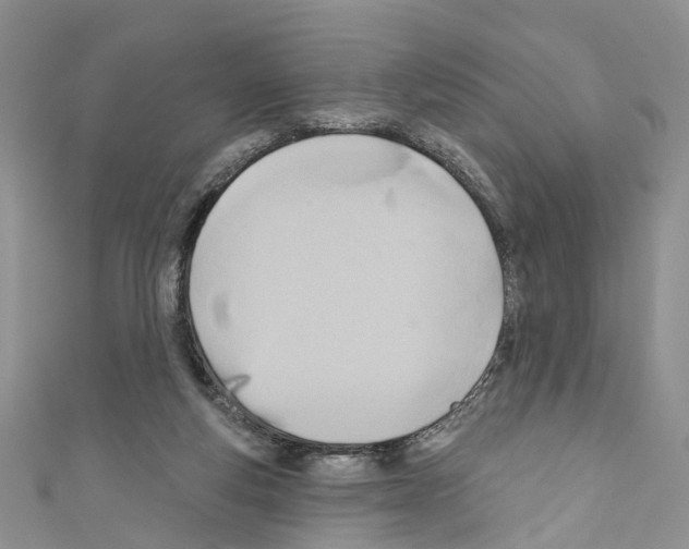 X0000110680163200907241050