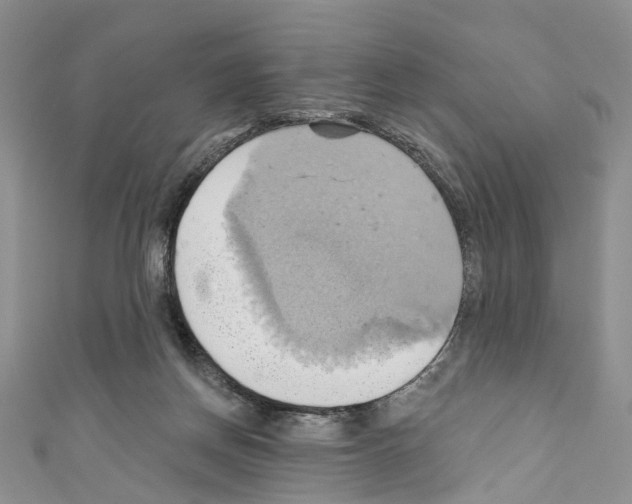 X0000110680166200907241050