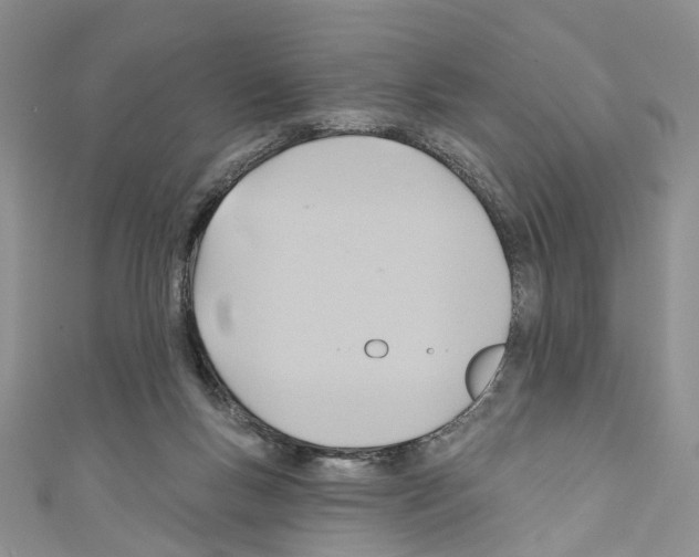X0000110680167200907241050