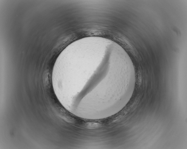 X0000110680169200907241050