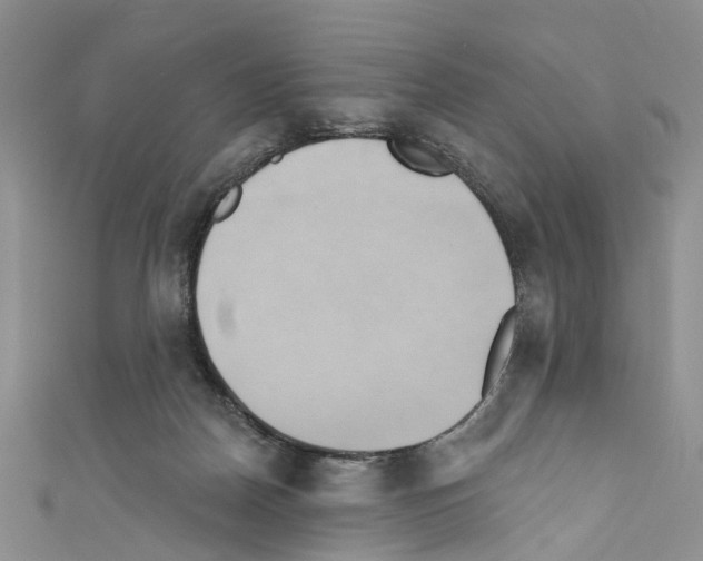 X0000110680170200907241050