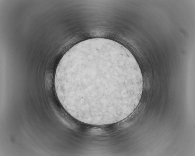 X0000110680171200907241050