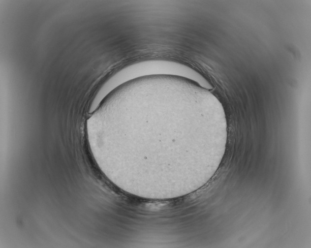 X0000110680172200907241050