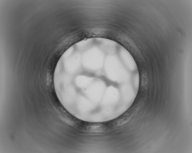 X0000110680173200907241050
