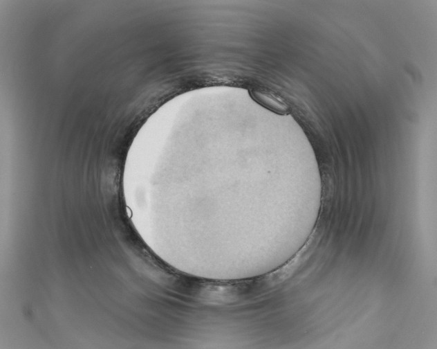 X0000110680174200907241050