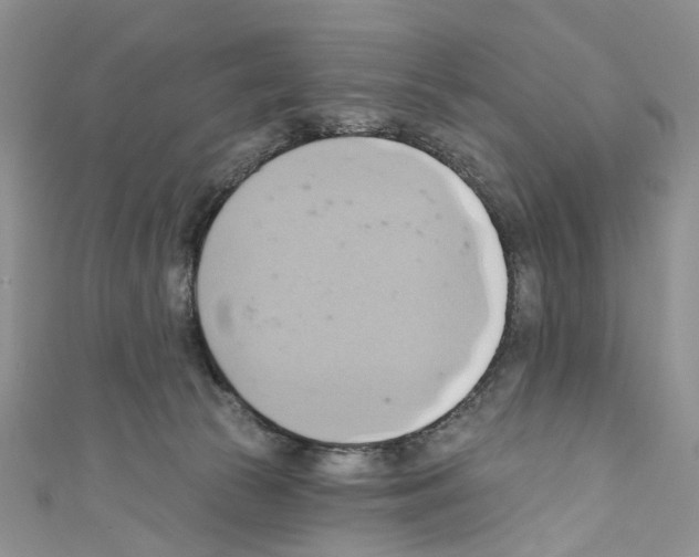 X0000110680177200907241051