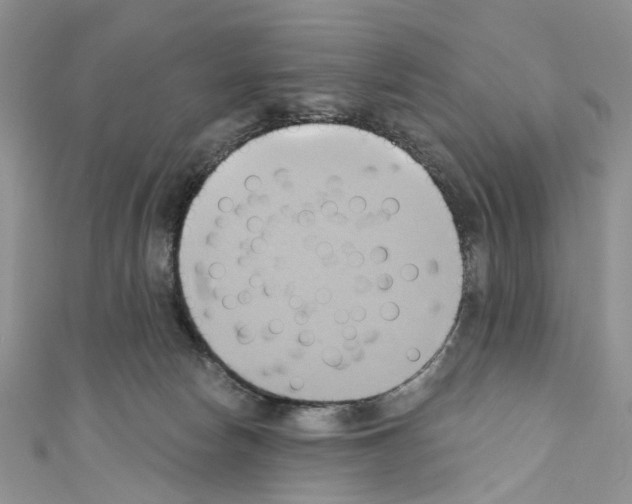 X0000110680178200907241051