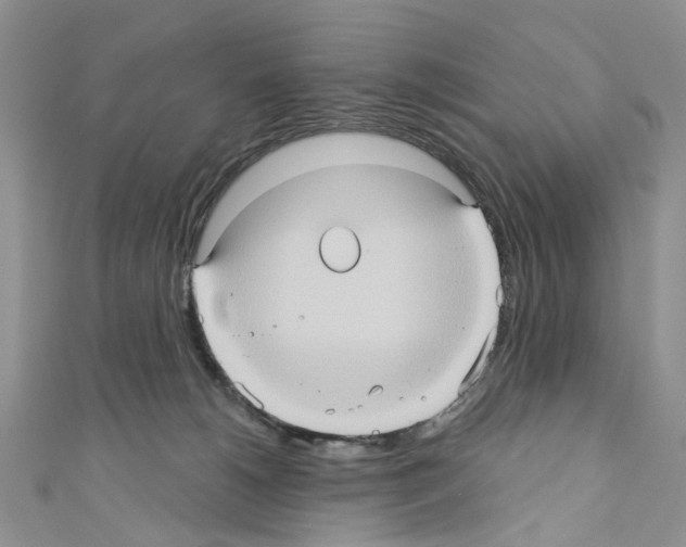 X0000110680180200907241051