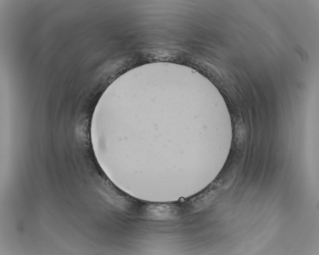 X0000110680181200907241051