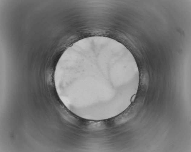 X0000110680185200907241051