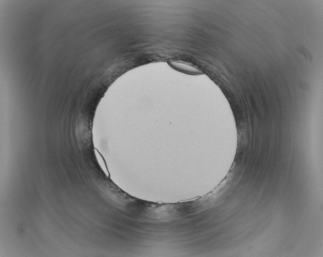 X0000110680186200907241051