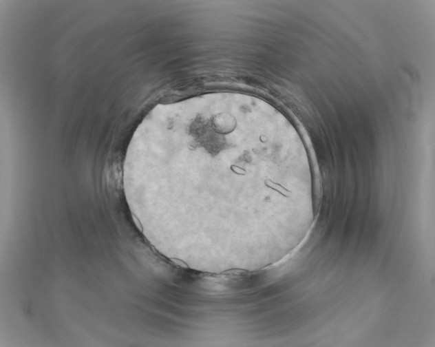 X0000110680190200907241051