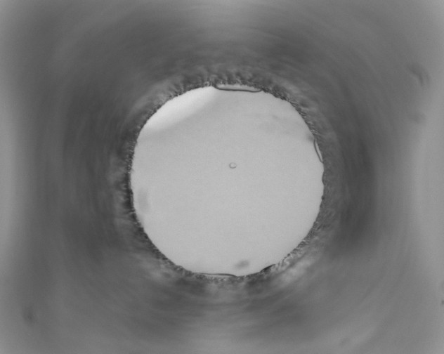X0000110680192200907241051