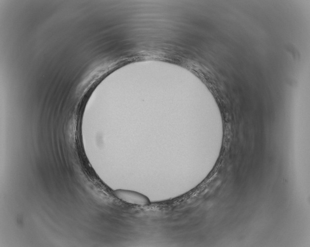 X0000110680194200907241050