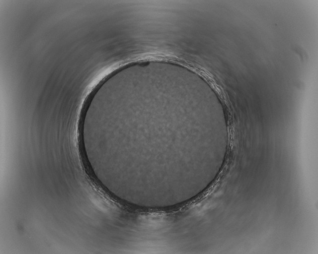 X0000110680196200907241050