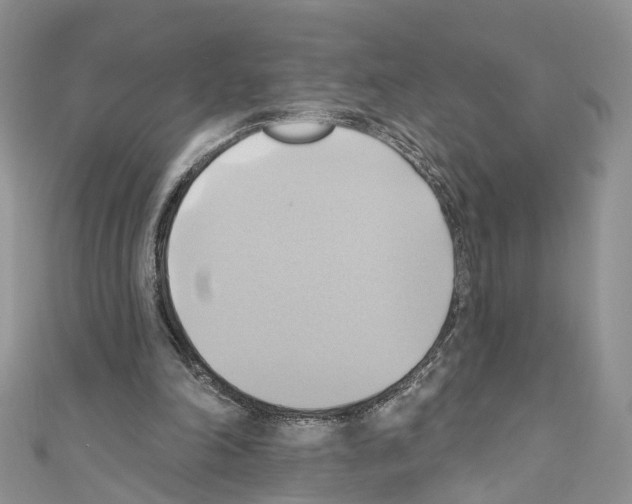 X0000110680198200907241050