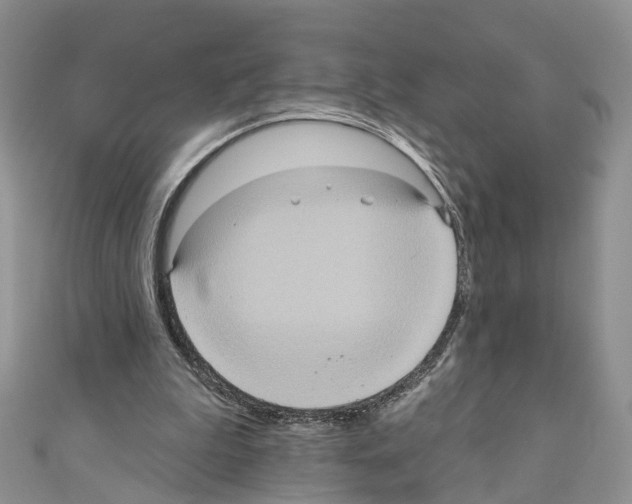 X0000110680199200907241050