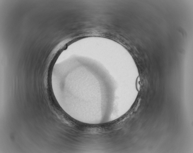 X0000110680200200907241050