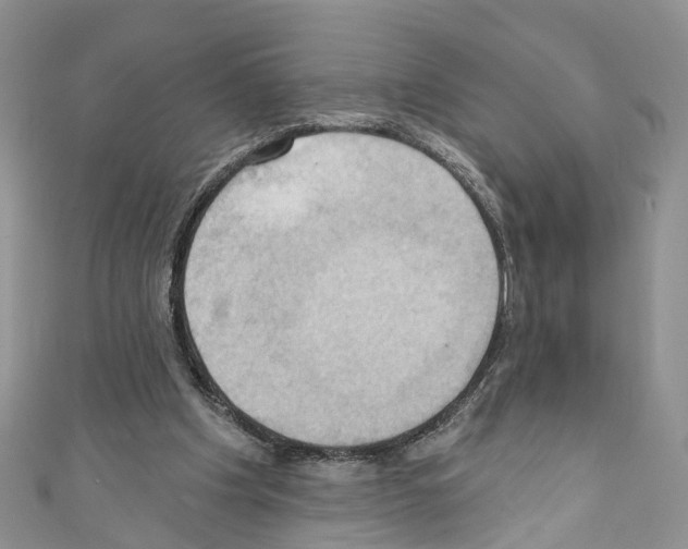 X0000110680201200907241050