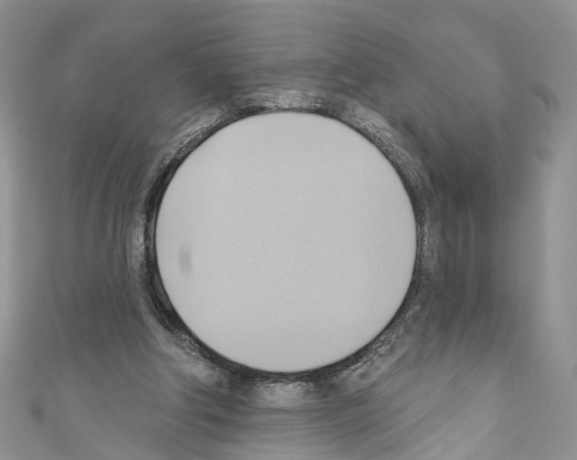 X0000110680202200907241050