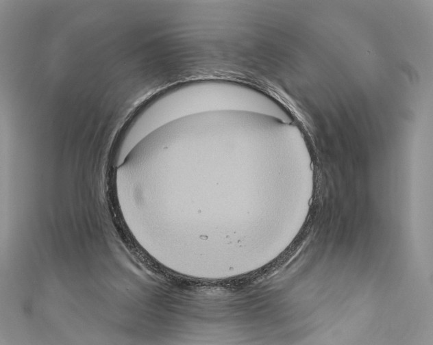 X0000110680203200907241050