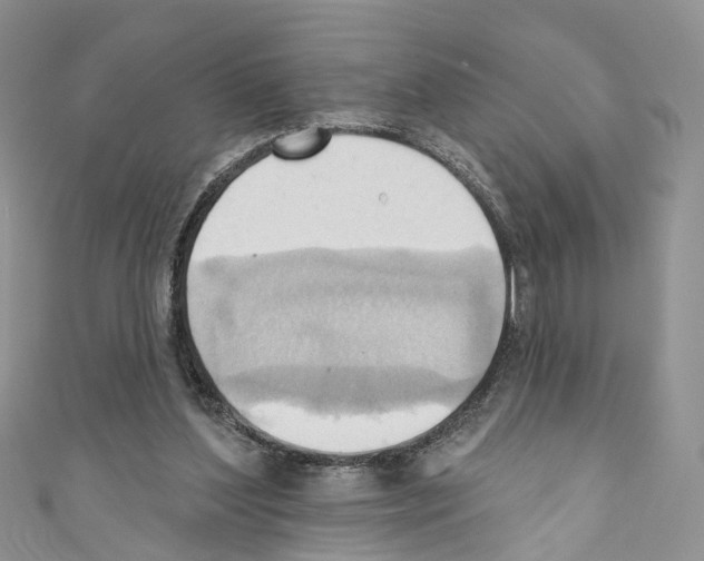 X0000110680204200907241050